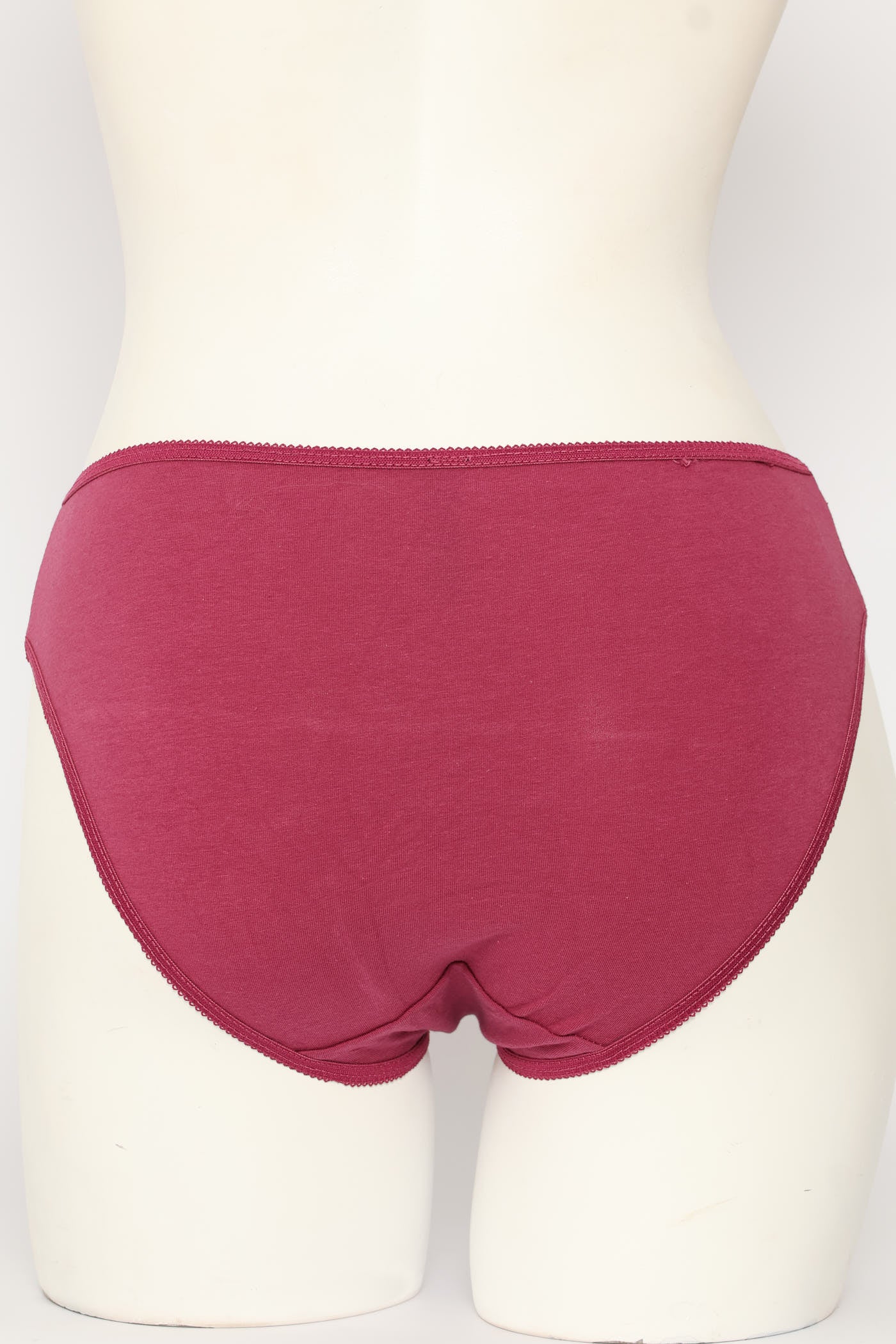 5 Pack Cotton Fan Bikini Panties - Multi - Image 2