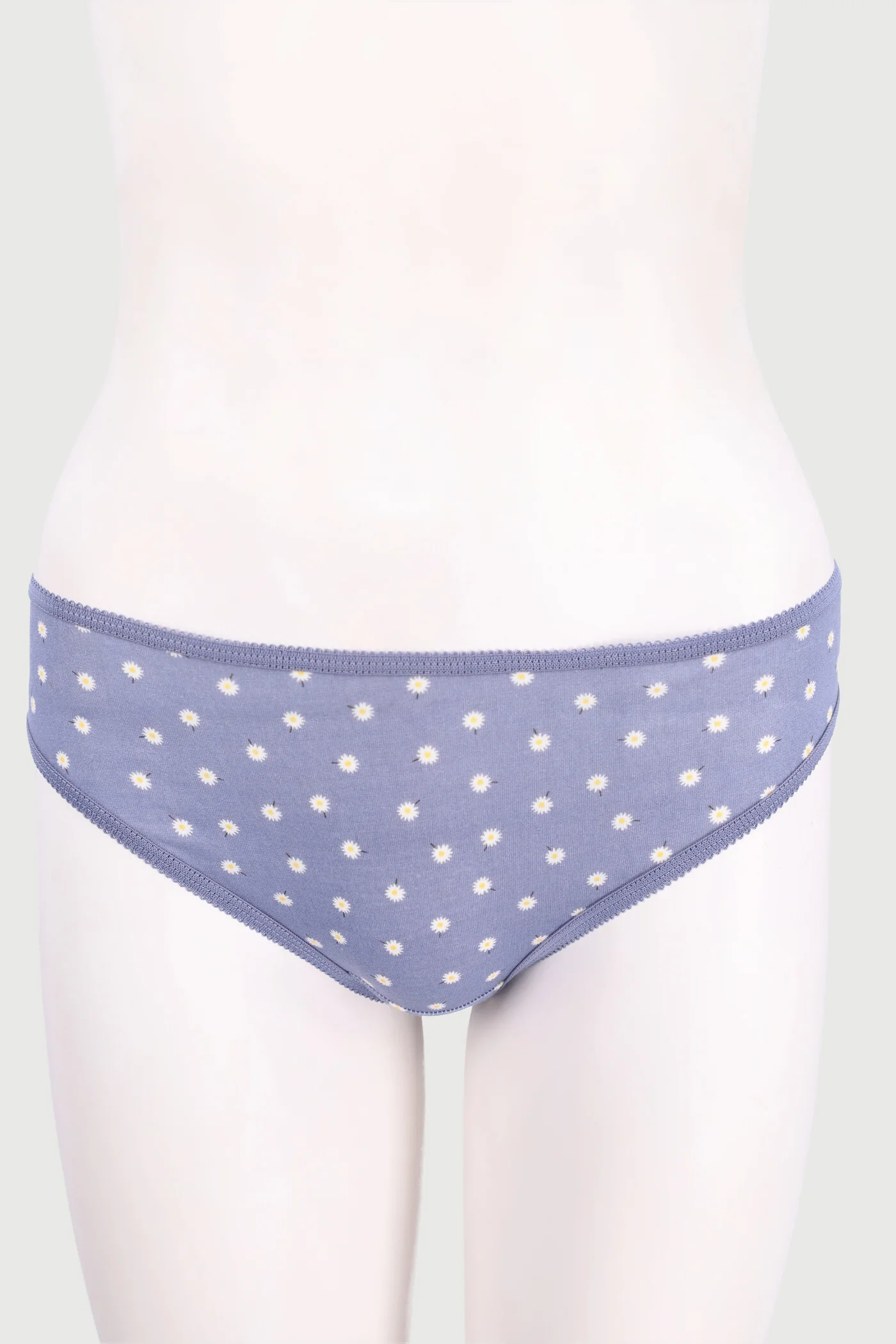 5 Pack Danilion Blue Cotton Bikini Panty - Image 2