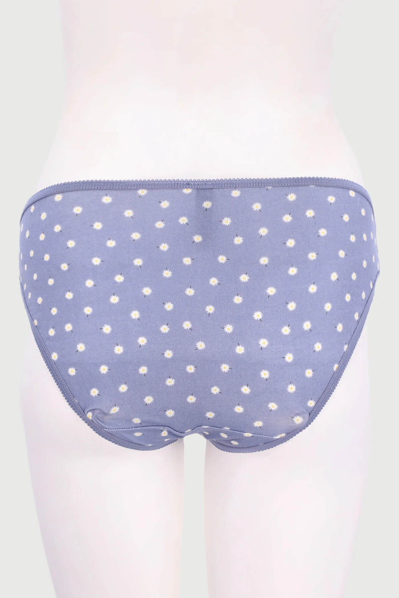 5 Pack Danilion Blue Cotton Bikini Panty - Image 4