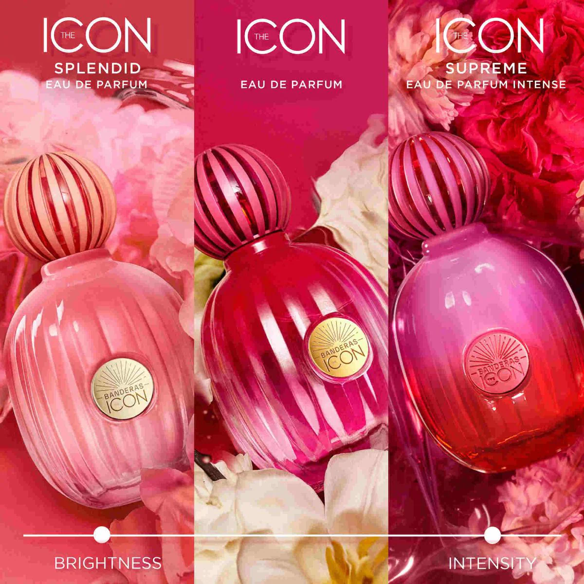 The Icon Supreme Eau de Parfum Intense for Women - Image 6