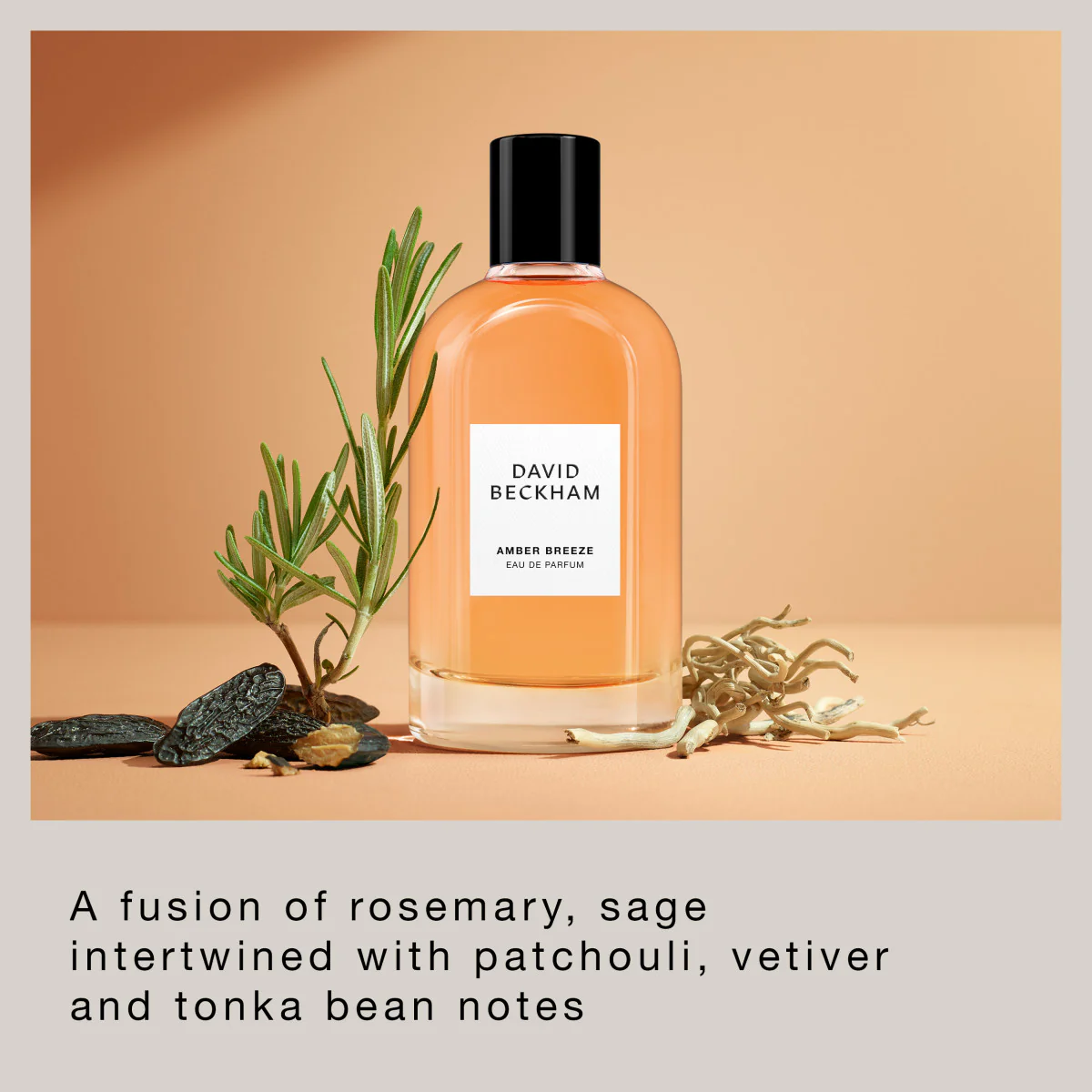 Amber Breeze - Eau de Parfum for Him - Image 5