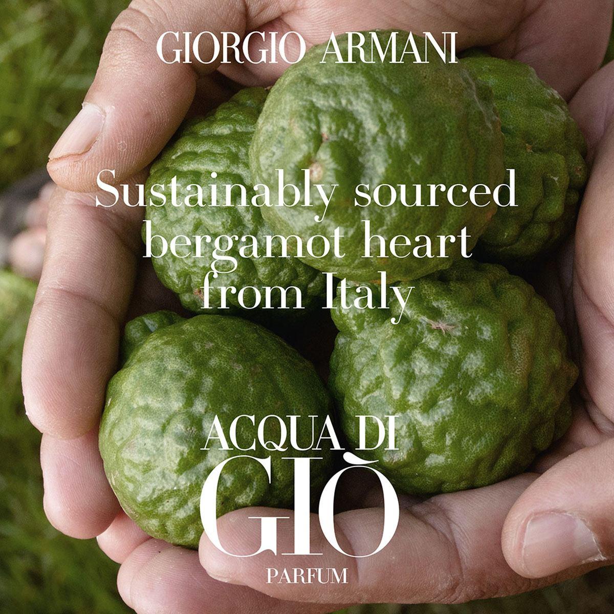 Acqua Di Gio Parfum - Image 11