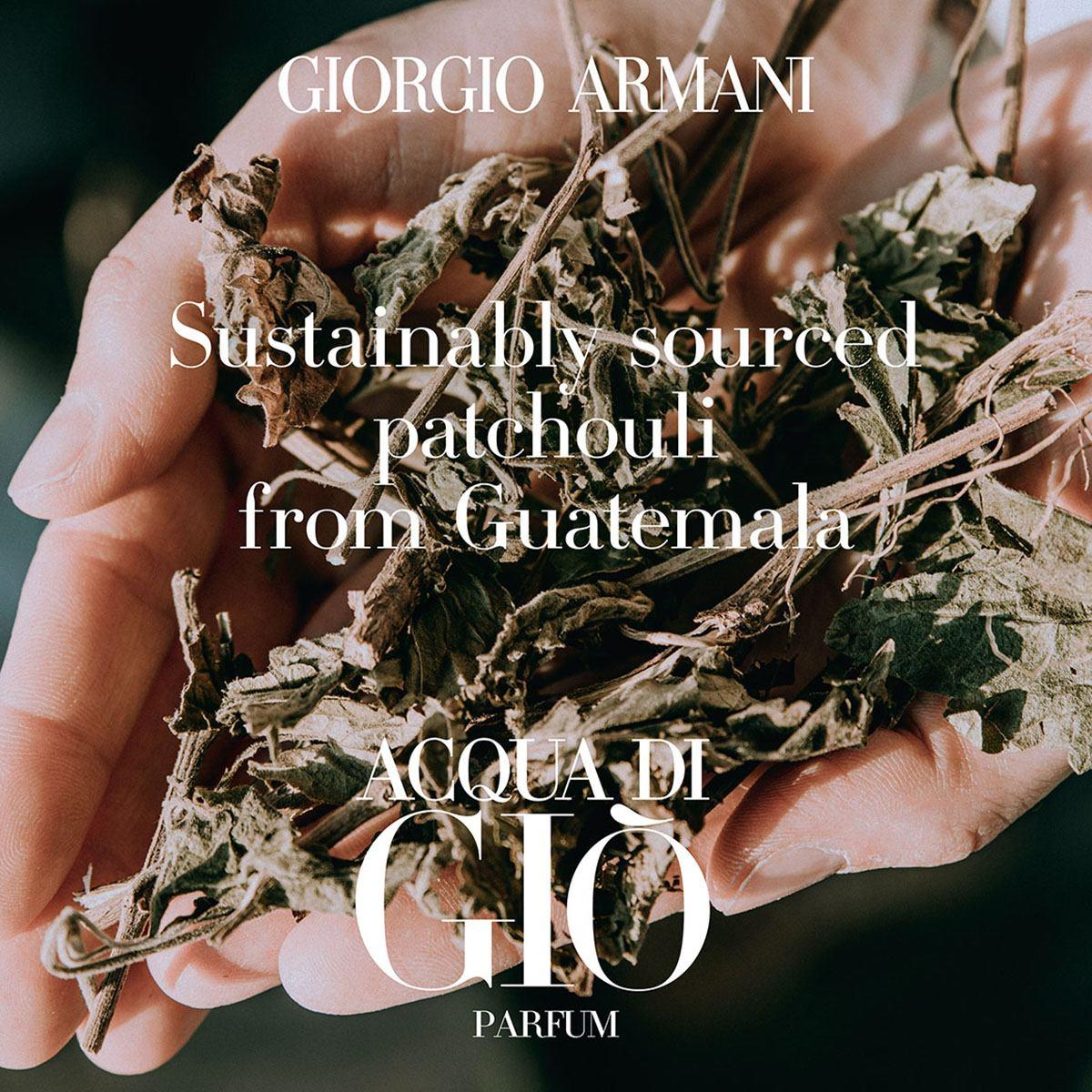 Acqua Di Gio Parfum - Image 12