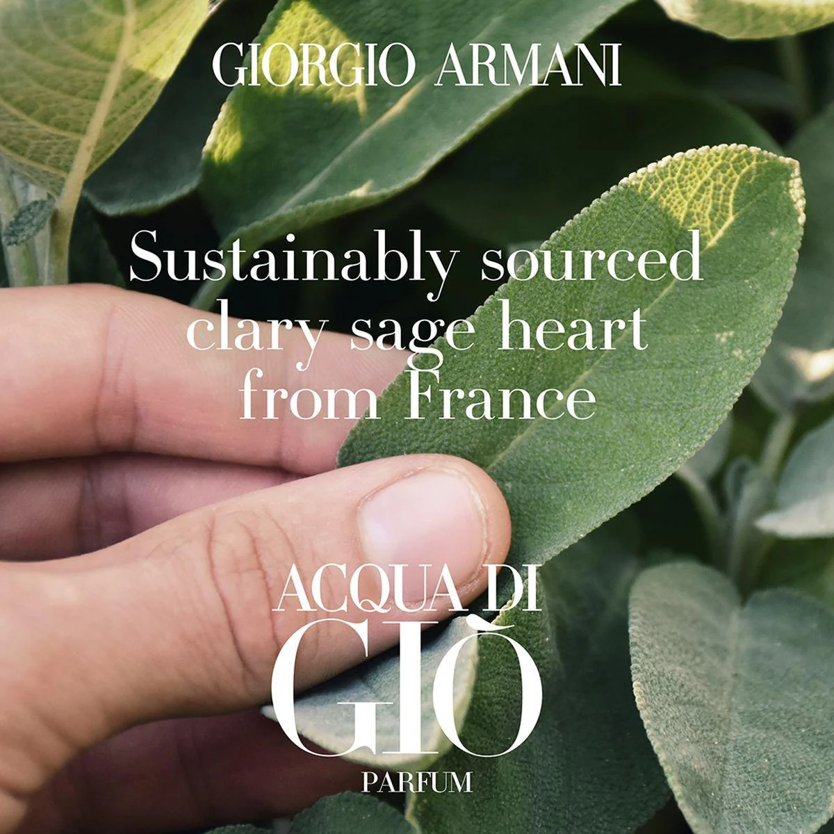 Acqua Di Gio Parfum - Image 13