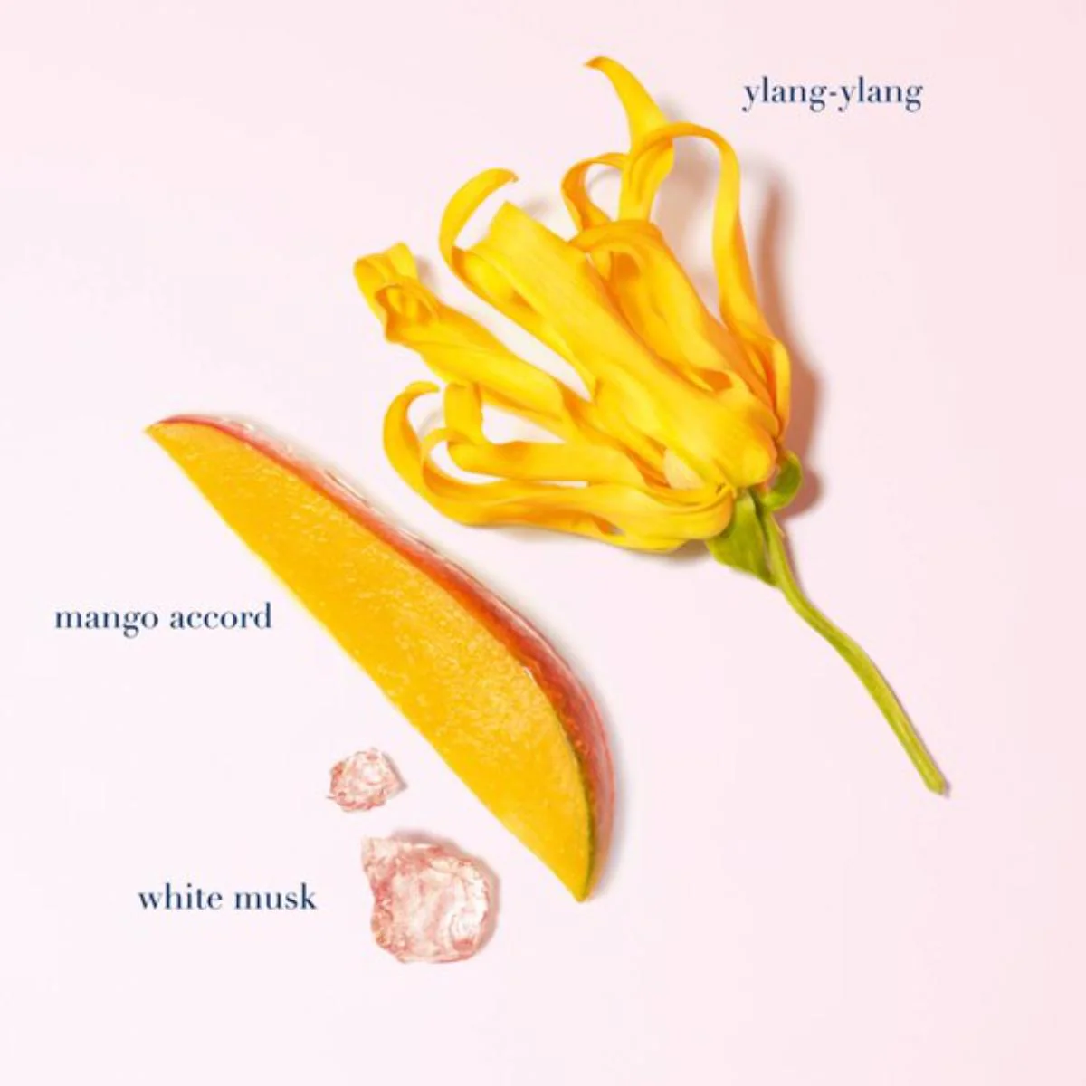 My Way Ylang Eau de Parfum - Image 7