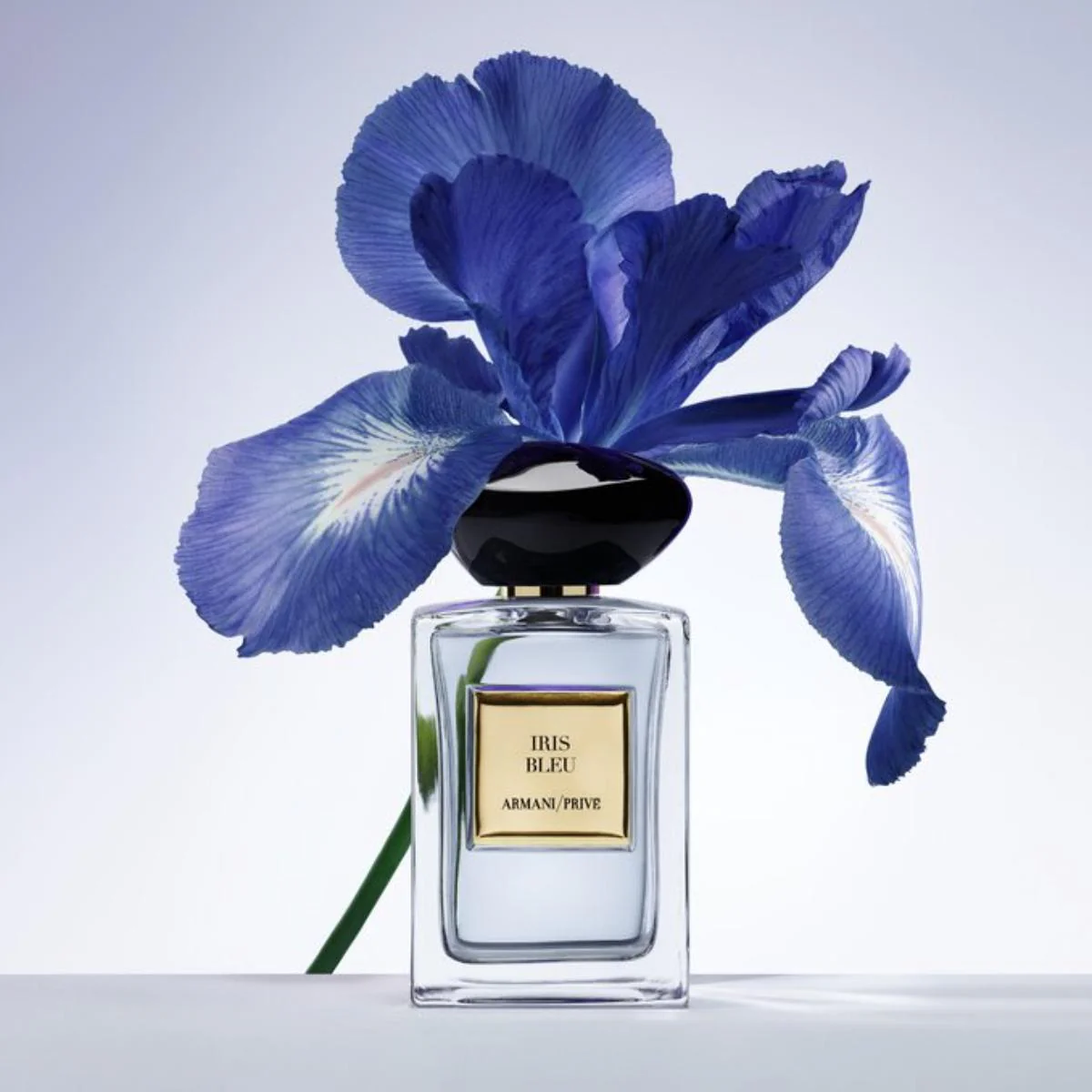 Privé Iris Bleu Eau de Toilette - Image 4