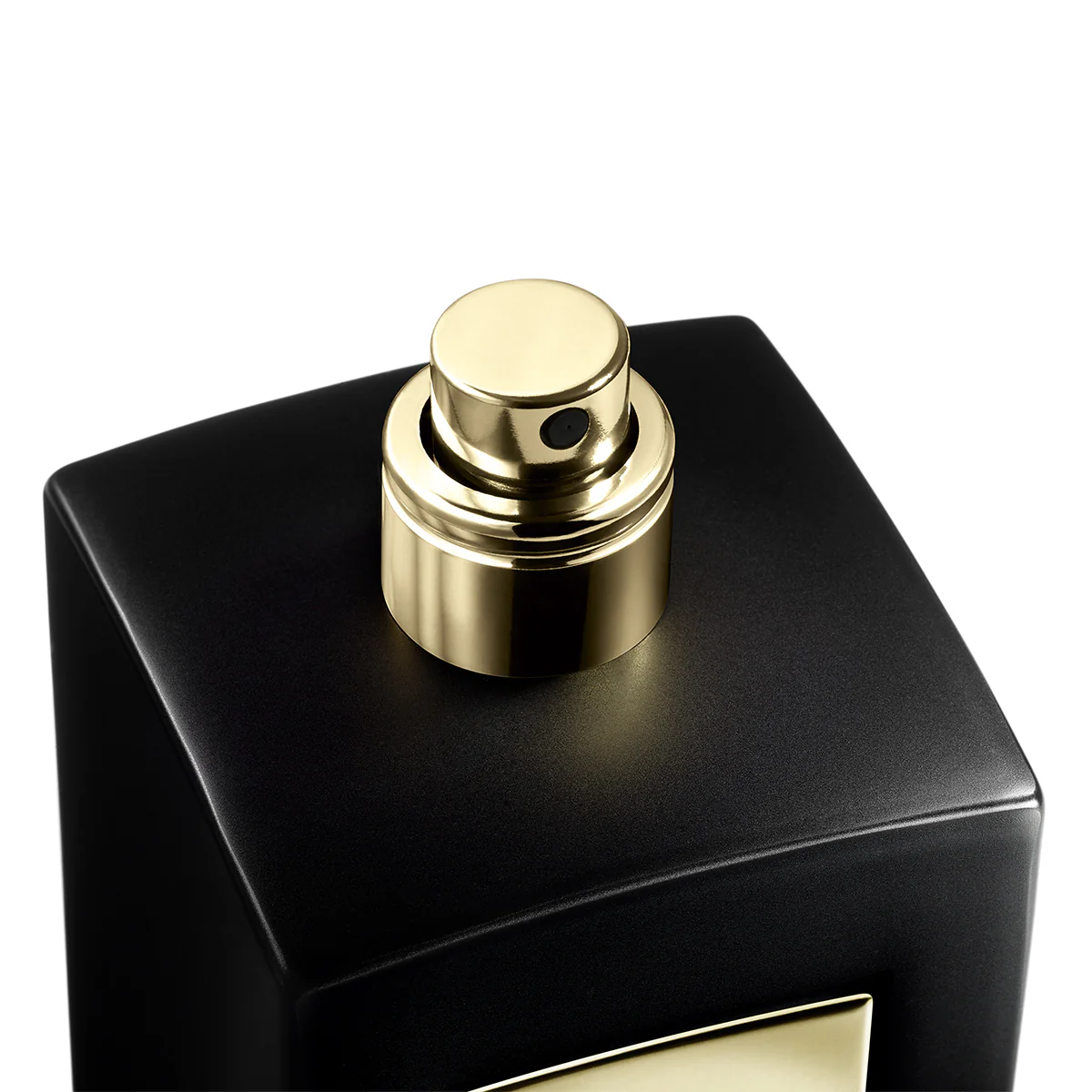Prive Cuir Zerzura Intense Eau de Parfum - 100ML - Image 4