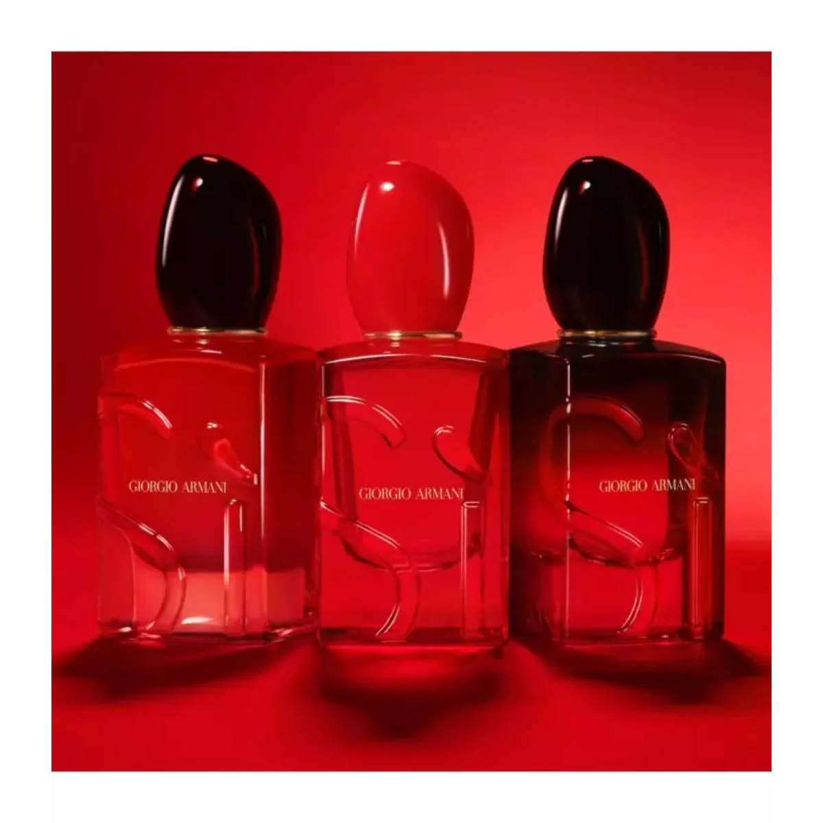 Sì Passione Red Musk Eau de Parfum - Image 10