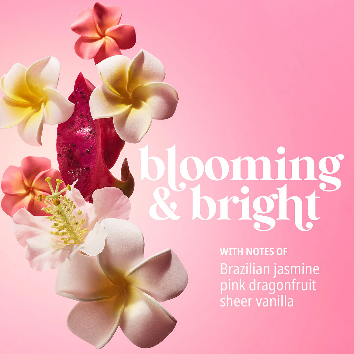 Beija Flor™ Elasti-Cream - Image 9