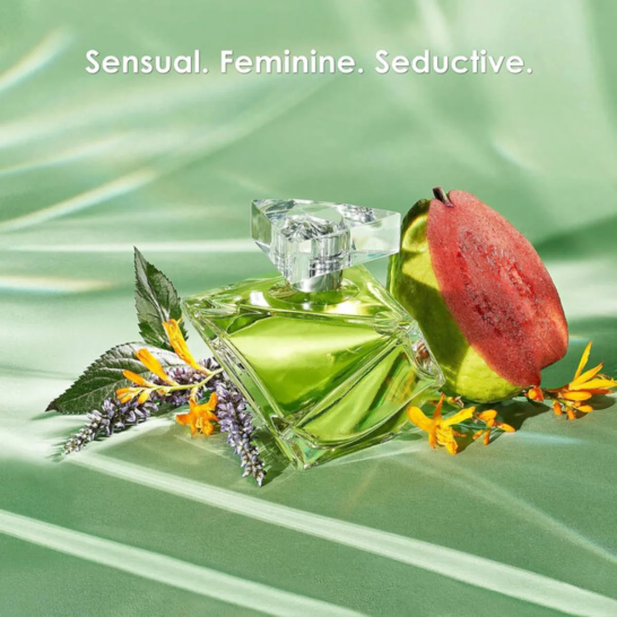 Believe Eau de Parfum - Image 5