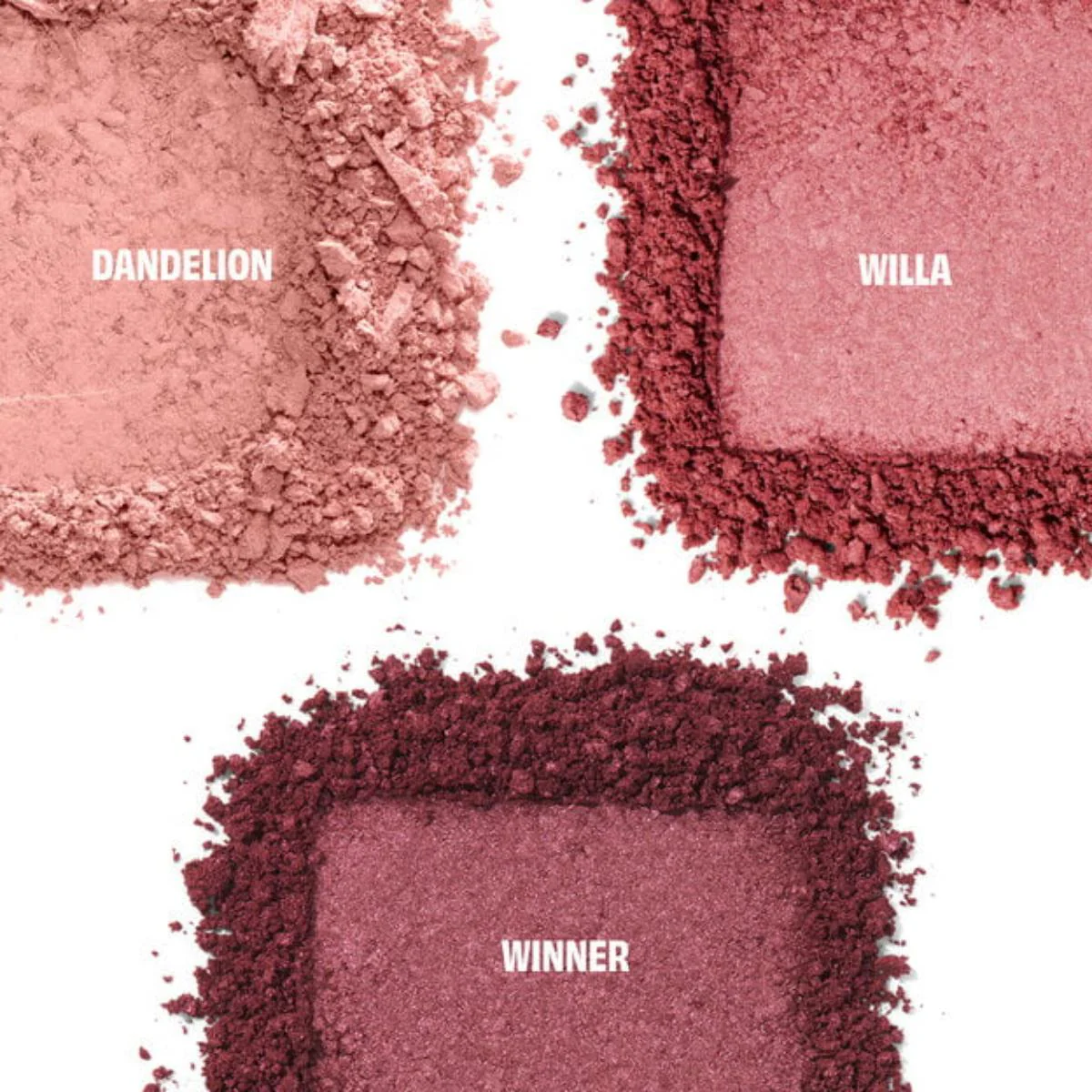 Cheek Score Blush Trio Palette - Image 2