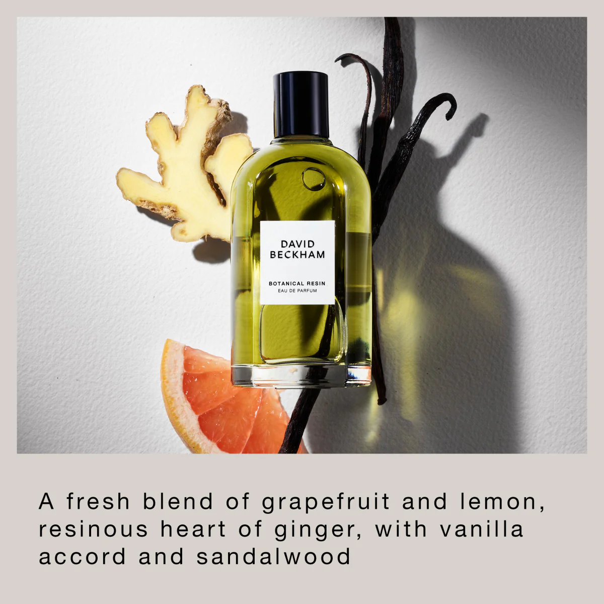 Botanical Resin - Eau de Parfum for Him - Image 5