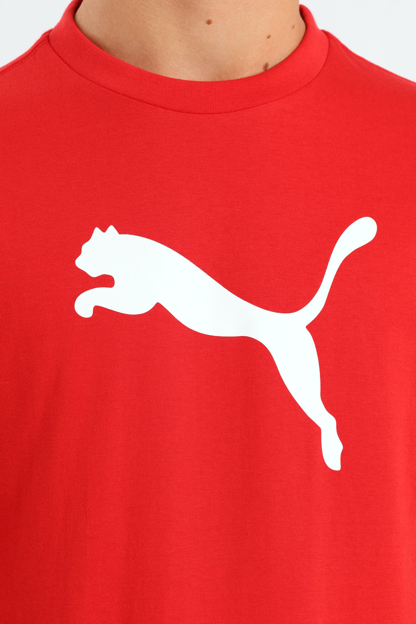 Boys Cat Logo Tee - Red - Image 4