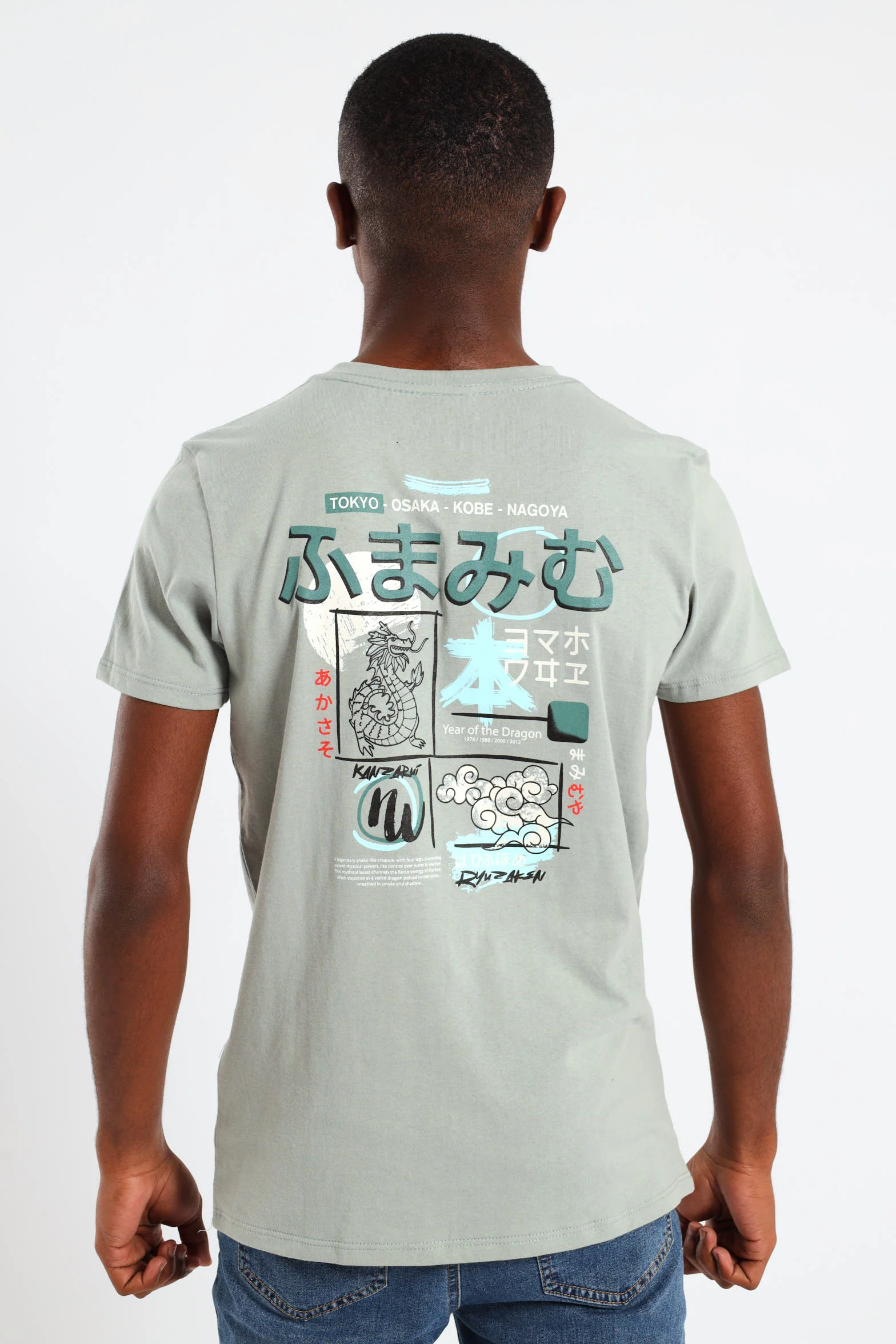 Boys Japanese Dragon Puff Back Printed Tee - Sage - Image 2
