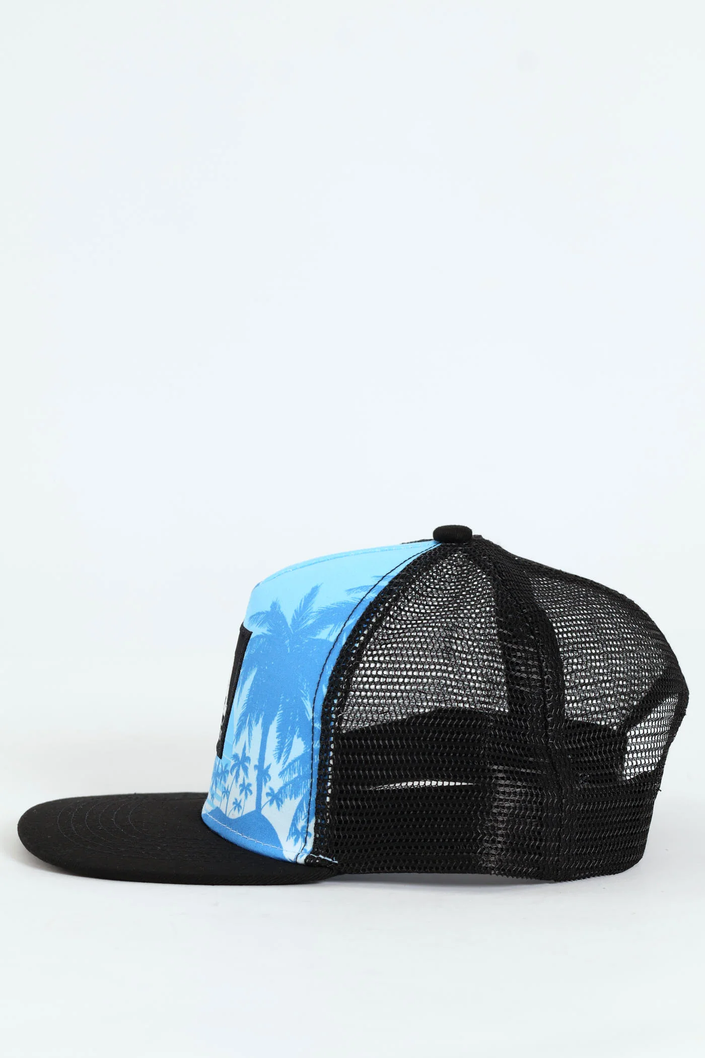 Boys LA Street Palm Cap - Blue - Image 2