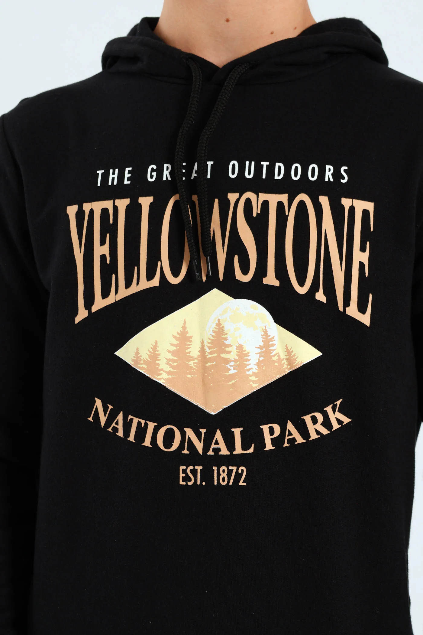 Boys Yellowstone Park Hoody - Black - Image 2