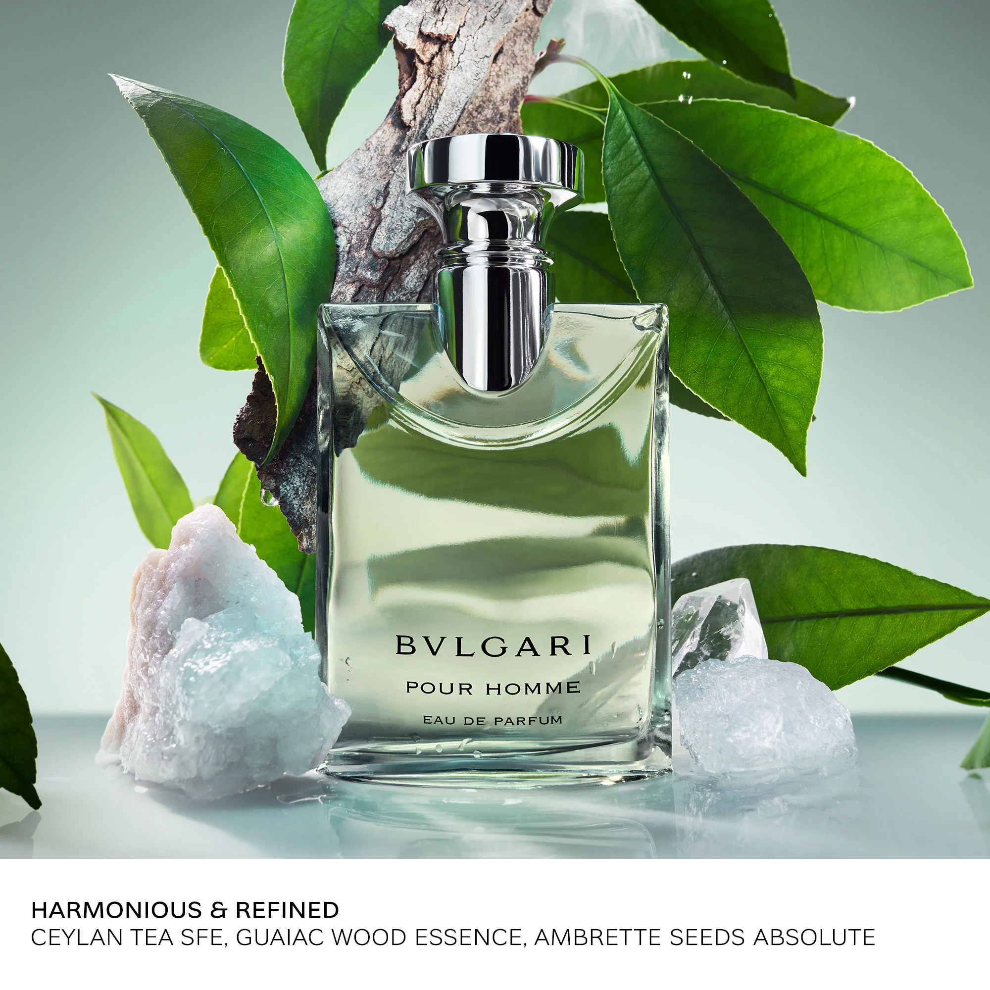 Pour Homme Eau de Parfum - Image 4