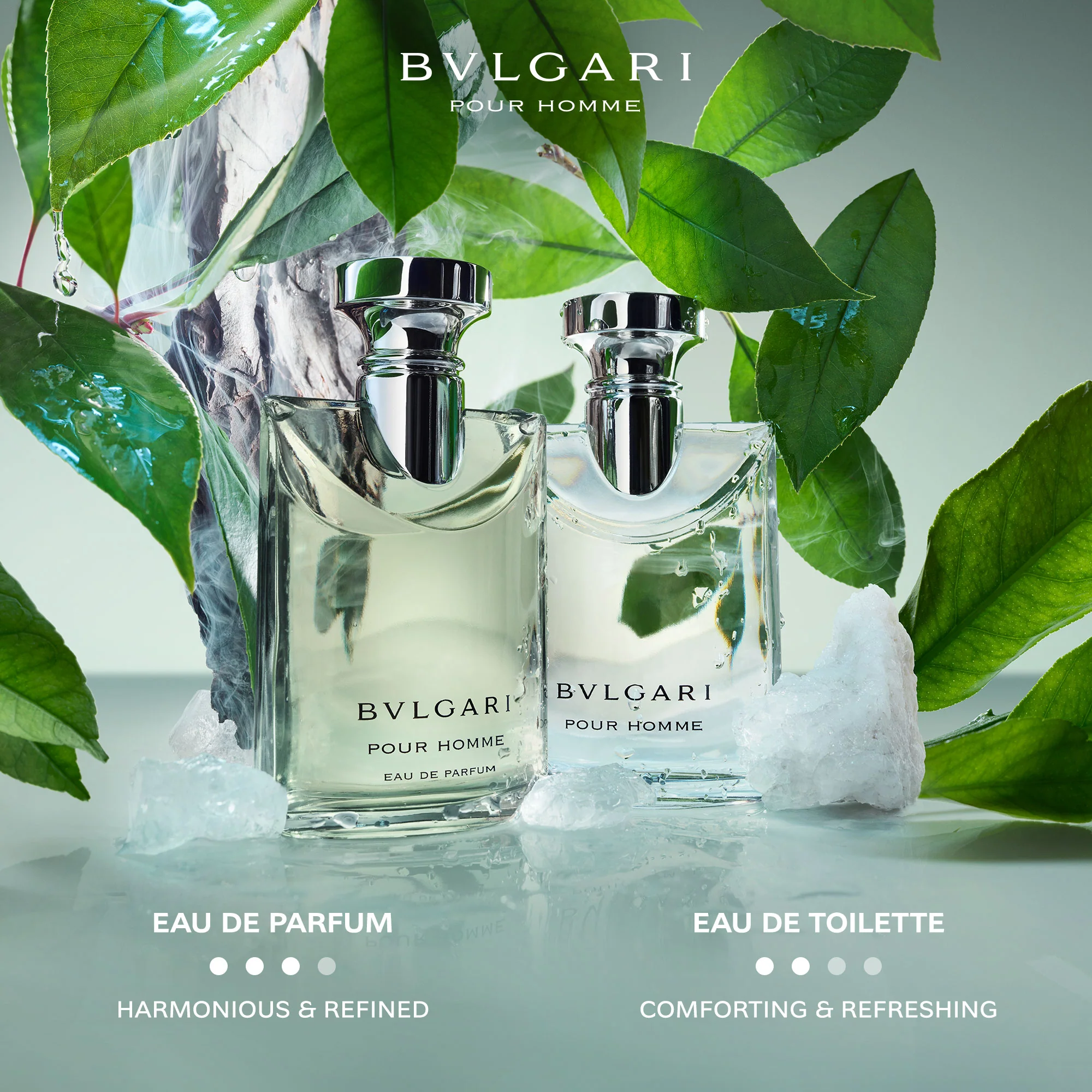 Pour Homme Eau de Parfum - Image 5