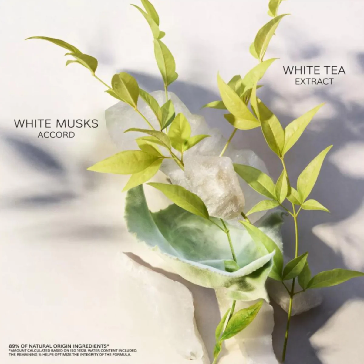Eau Parfumée Thé Blanc Eau de Toilette - Image 5