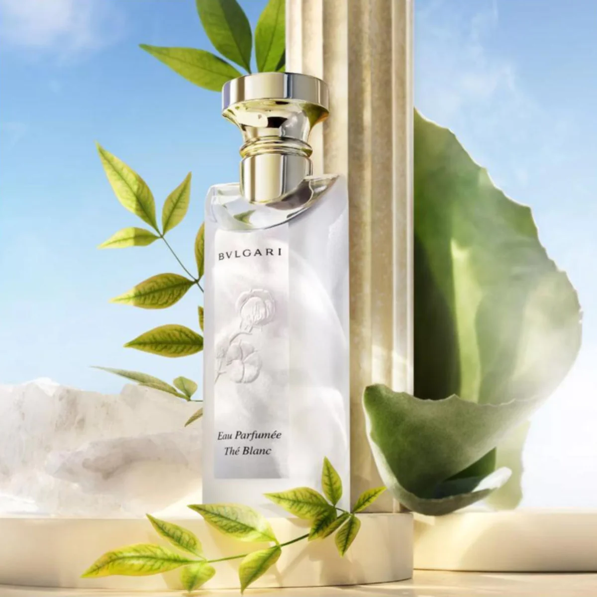 Eau Parfumée Thé Blanc Eau de Toilette - Image 6