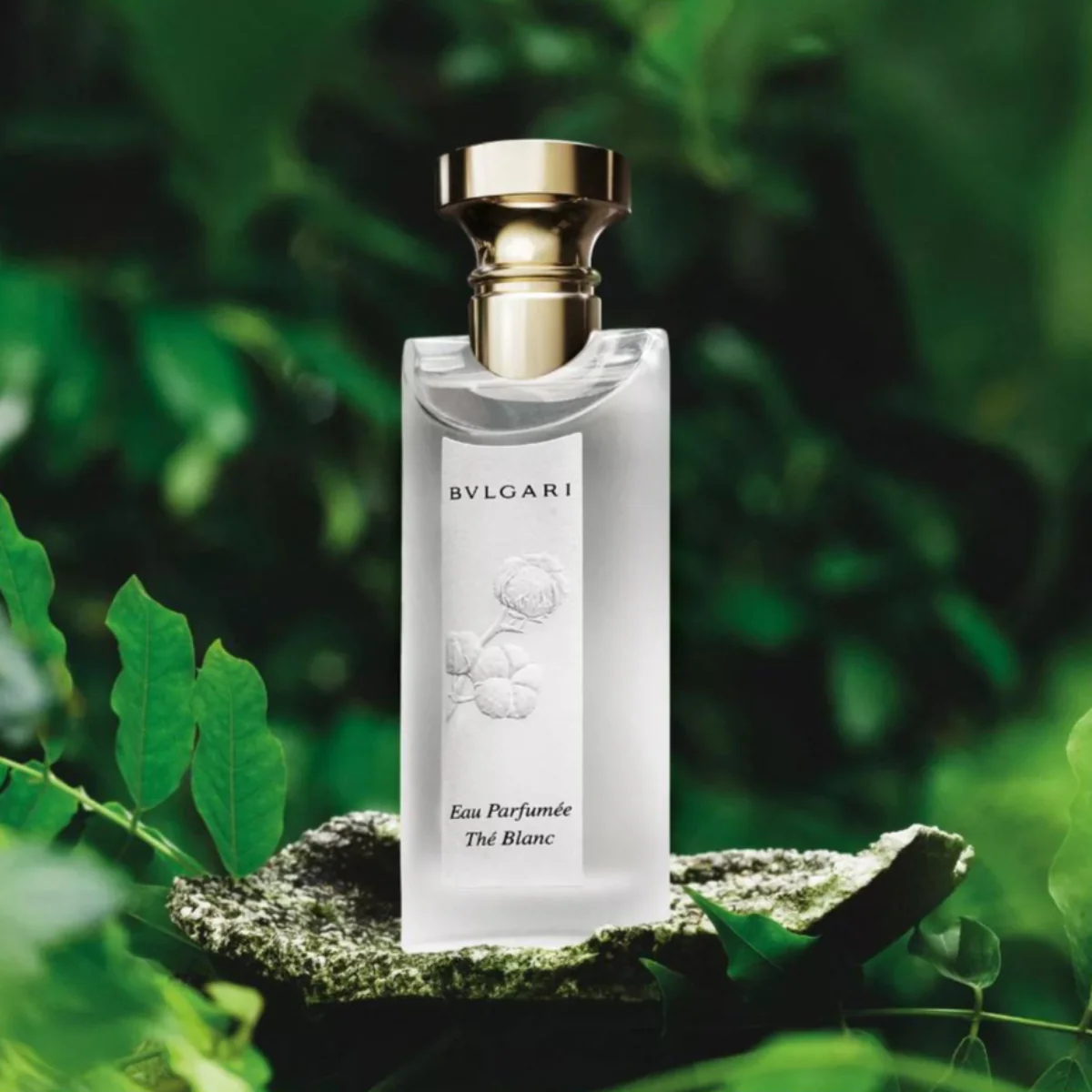 Eau Parfumée Thé Blanc Eau de Toilette - Image 8