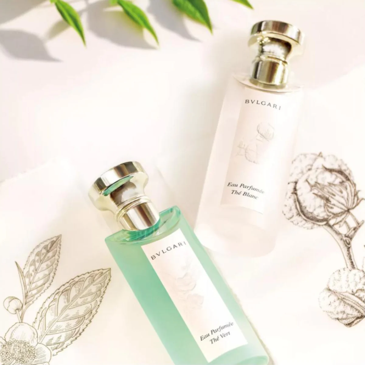 Eau Parfumée Thé Vert Eau de Toilette - Image 10