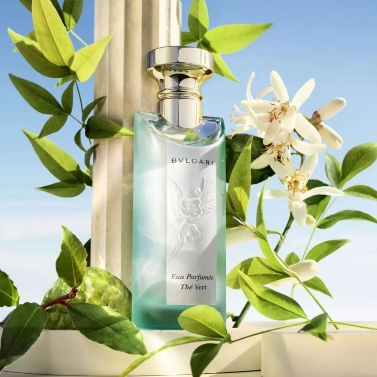Eau Parfumée Thé Vert Eau de Toilette - Image 6