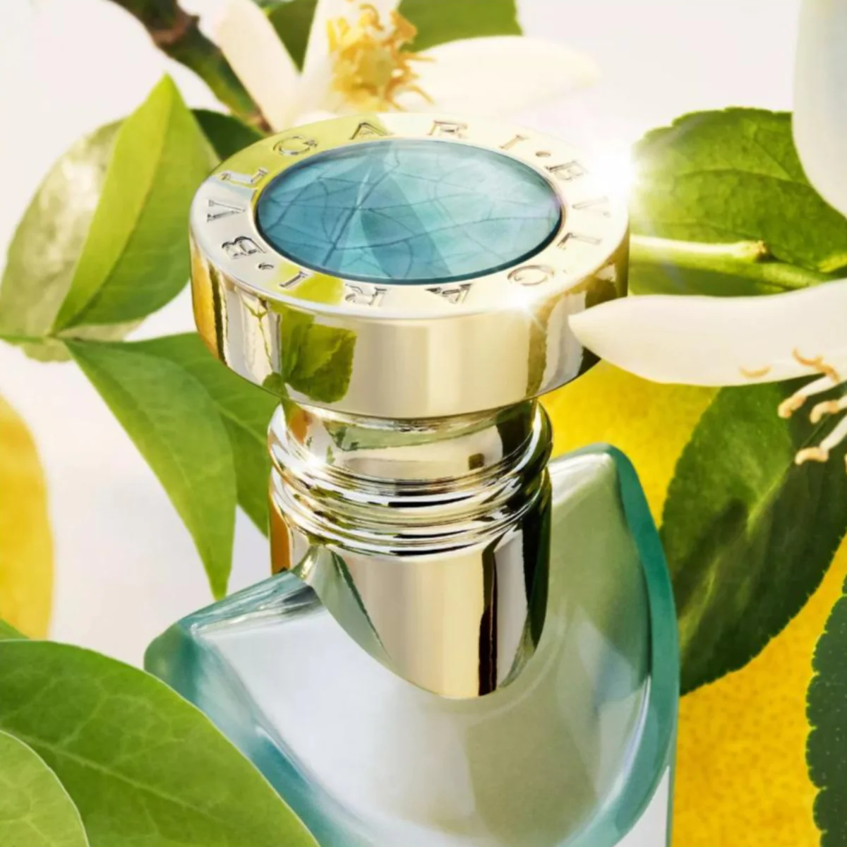 Eau Parfumée Thé Vert Eau de Toilette - Image 7