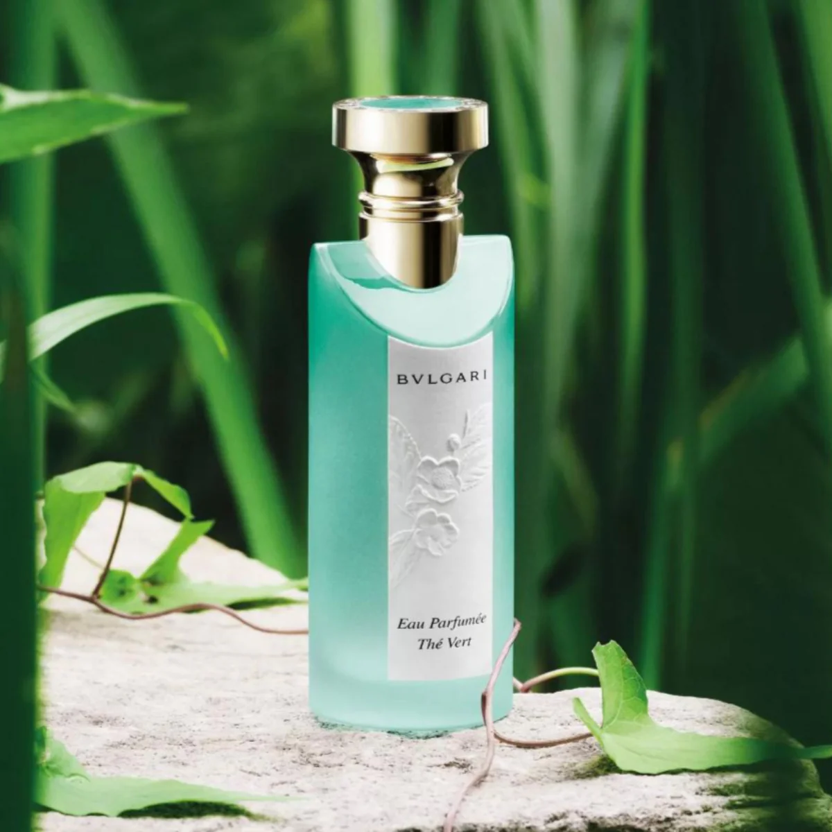 Eau Parfumée Thé Vert Eau de Toilette - Image 8
