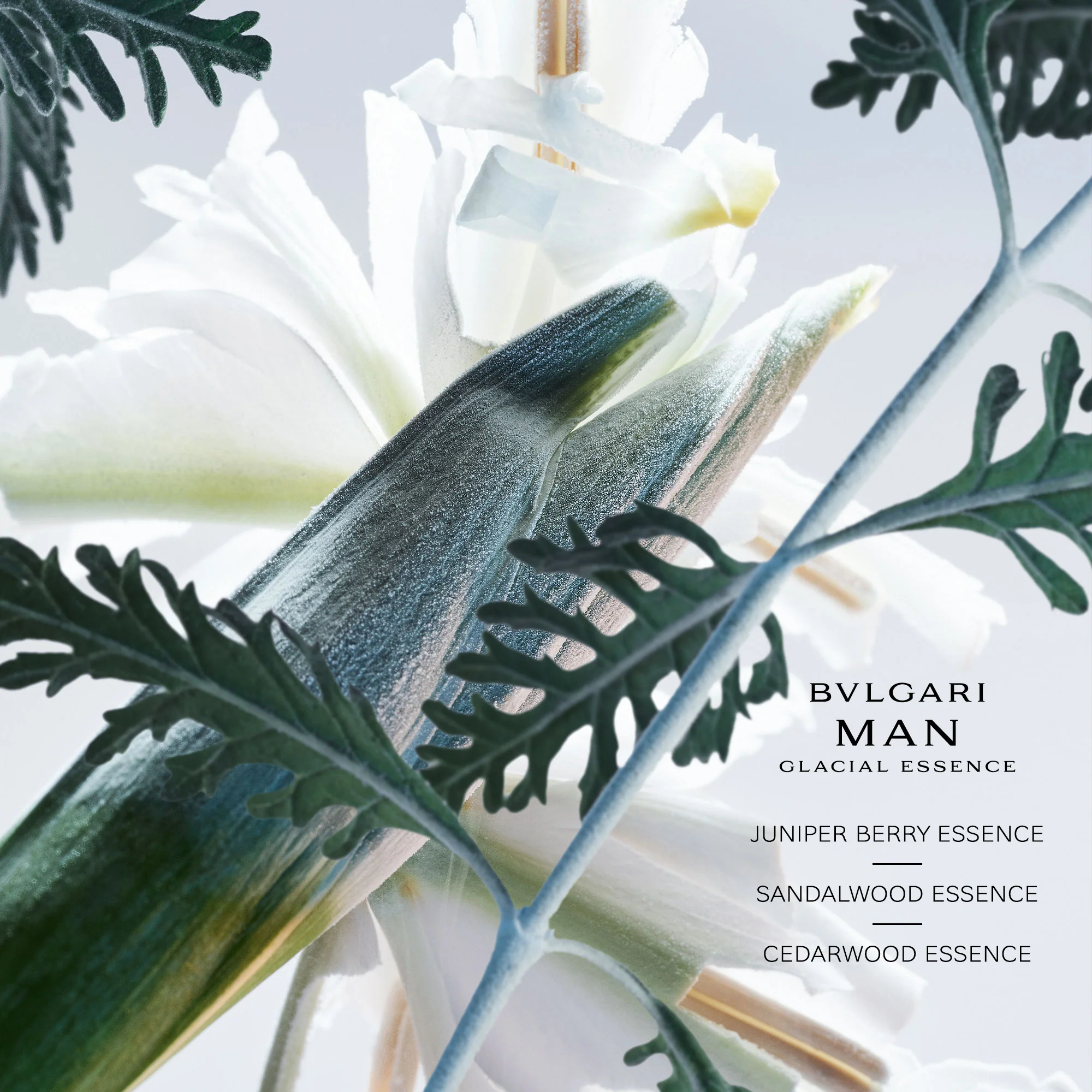 Bvlgari Man Glacial Essence Eau De Parfum Refill - Image 3