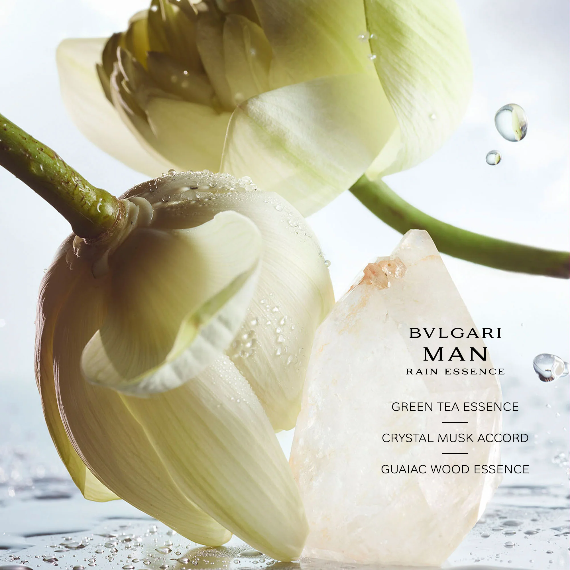 Bvlgari Man Rain Essence  Eau De Parfum Refill - Image 6