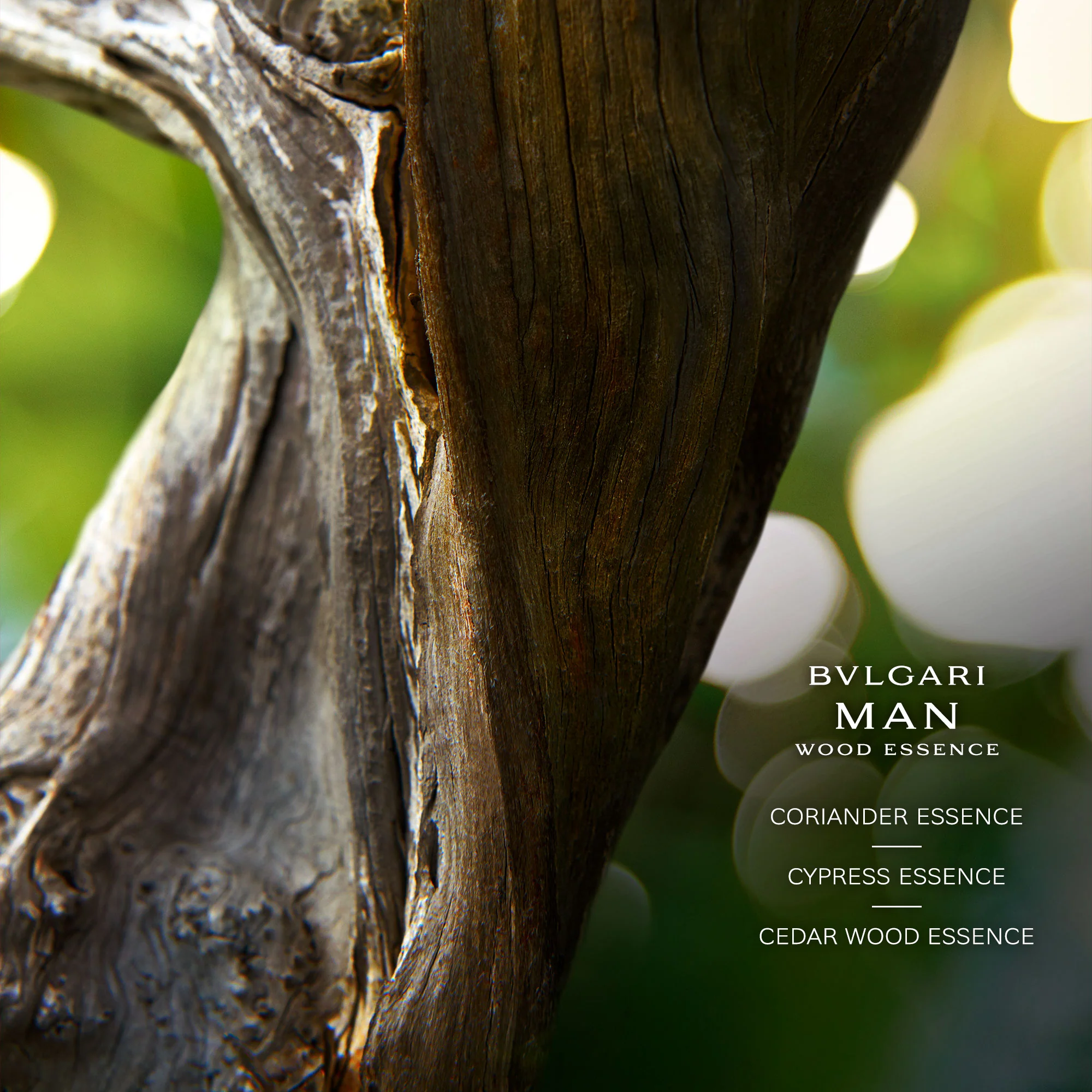 Bvlgari Man Wood Essence  Eau De Parfum Refill 200Ml - Image 5