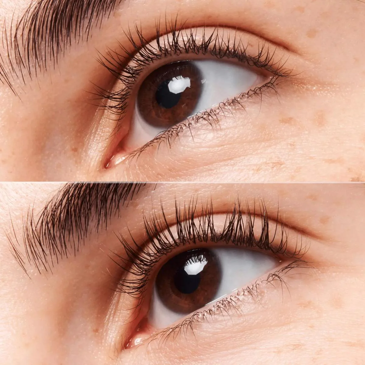 Caffeine Kick Lash & Brow Serum - Image 7