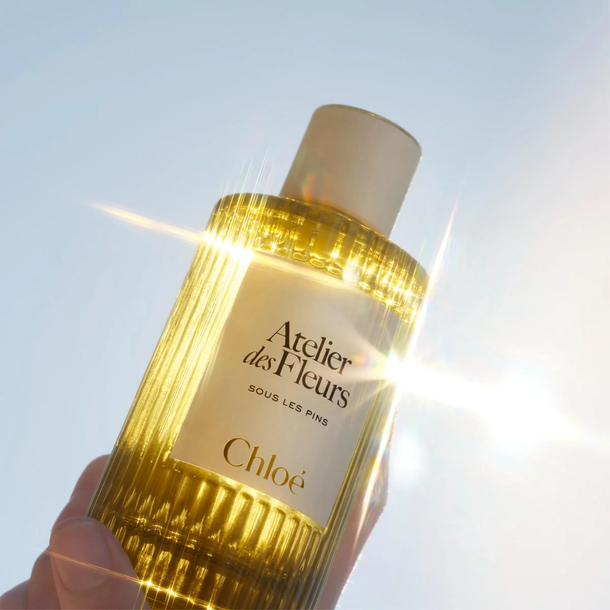 Atelier des Fleurs Sous les Pins Eau de Parfum - Image 10