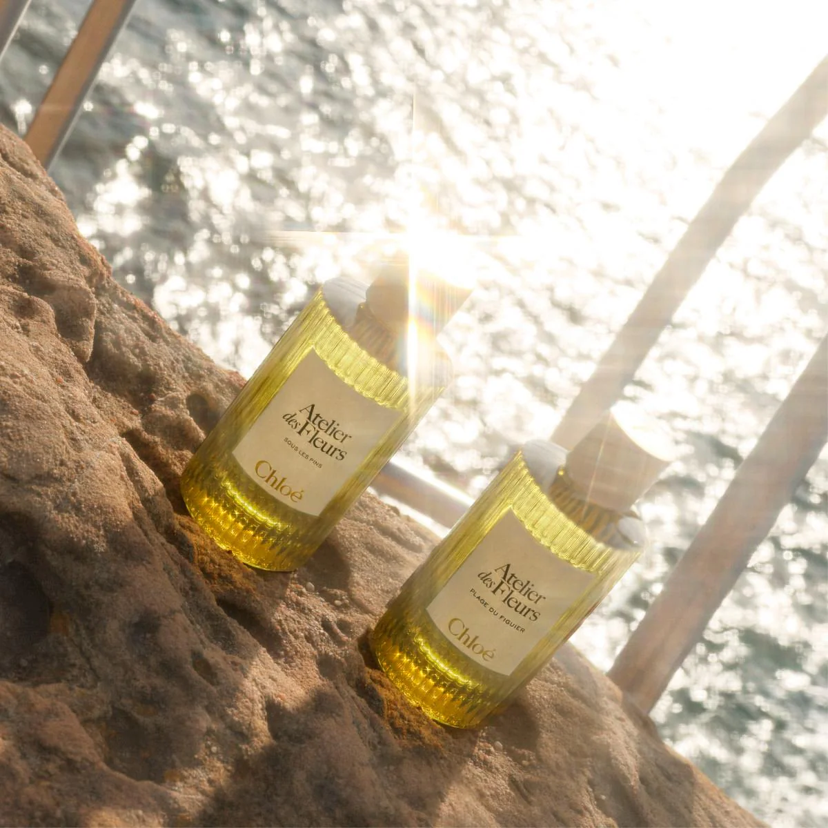 Atelier des Fleurs Plage du Figuier Eau de Parfum - Image 8
