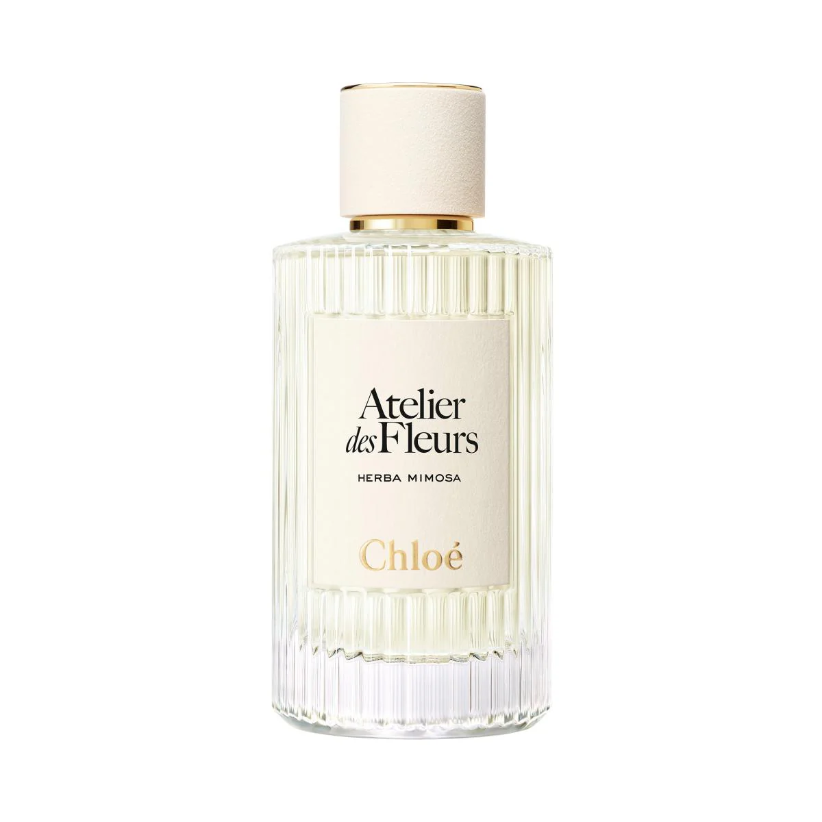 Atelier des Fleurs Herba Mimosa Eau de Parfum for Women - Image 4