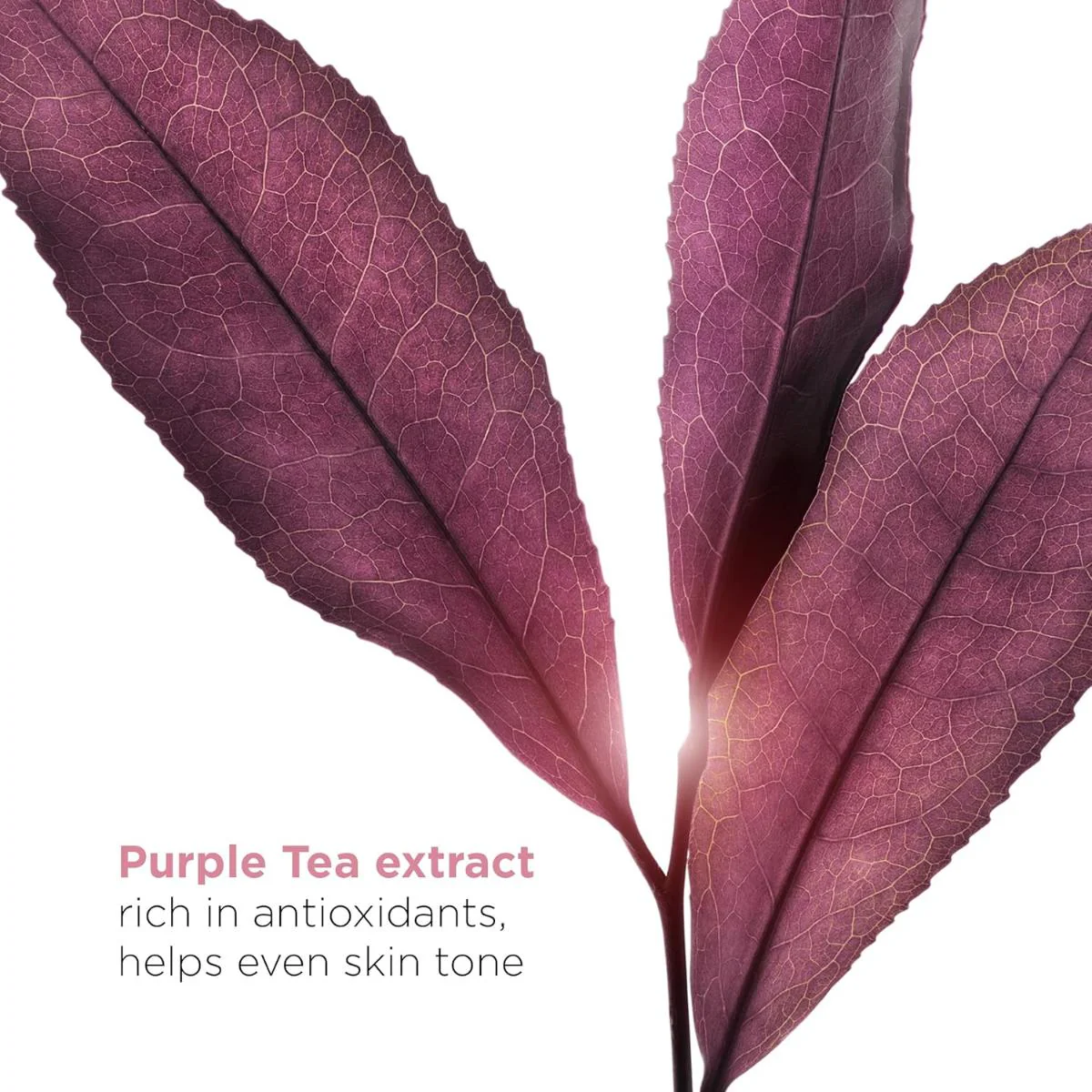 Bright Plus Advanced Serum - Image 8