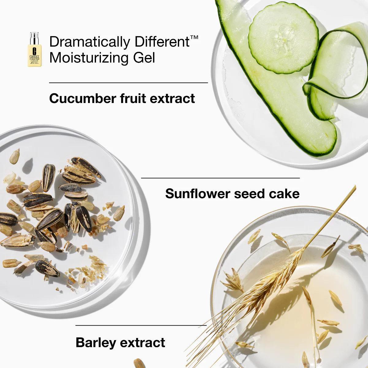 Great Skin Everywhere Set: For Combination Oily Skin - Image 3