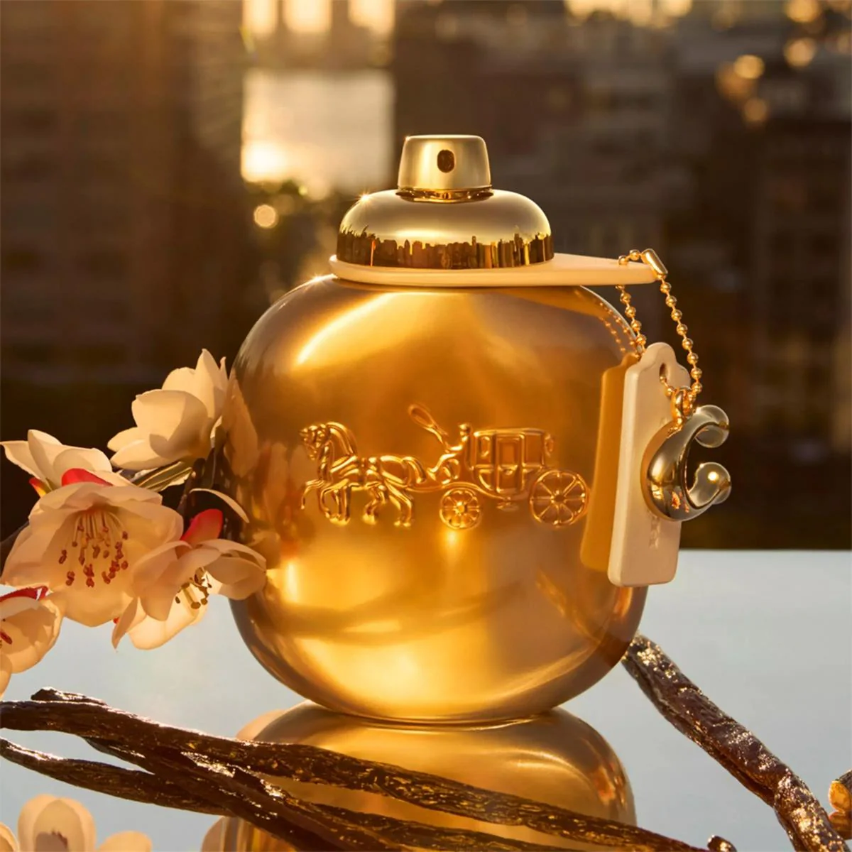Coach Gold Parfum - Image 8