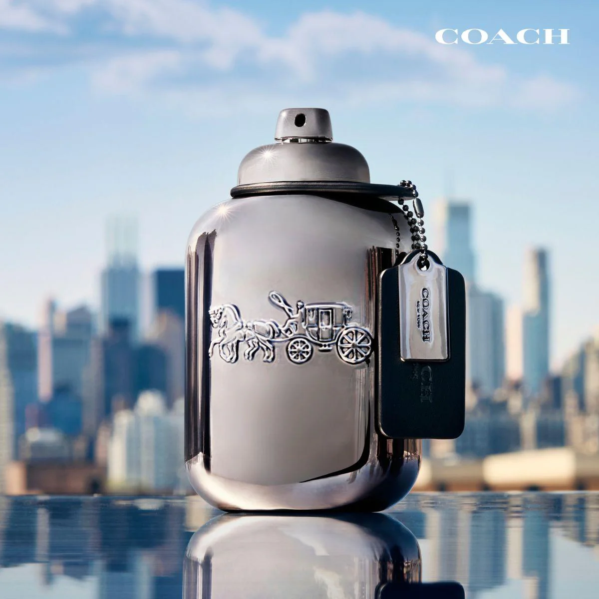 PURE PLATINUM PARFUM - Image 4