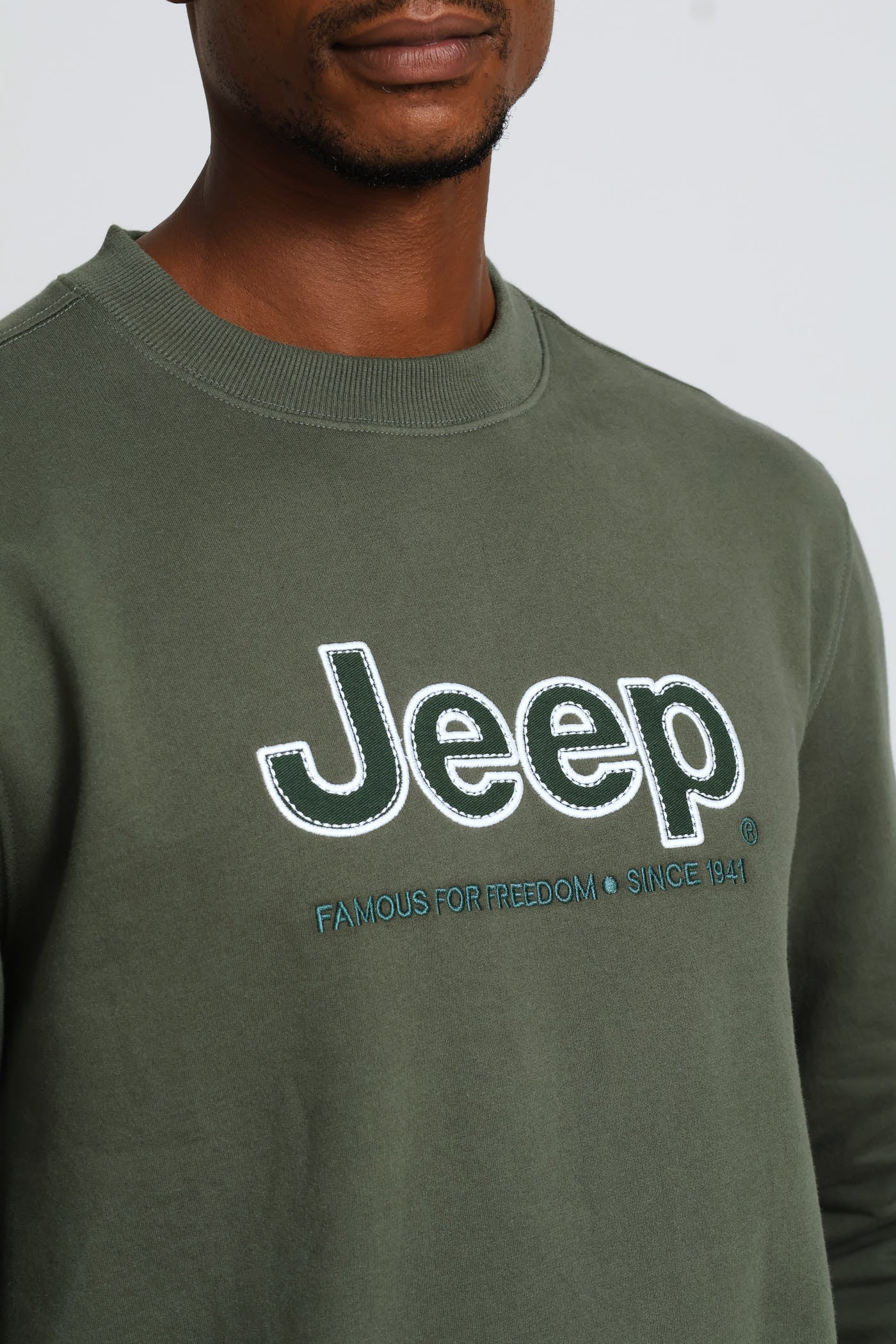 Core Applique Fleece Crewneck - Sage - Image 2