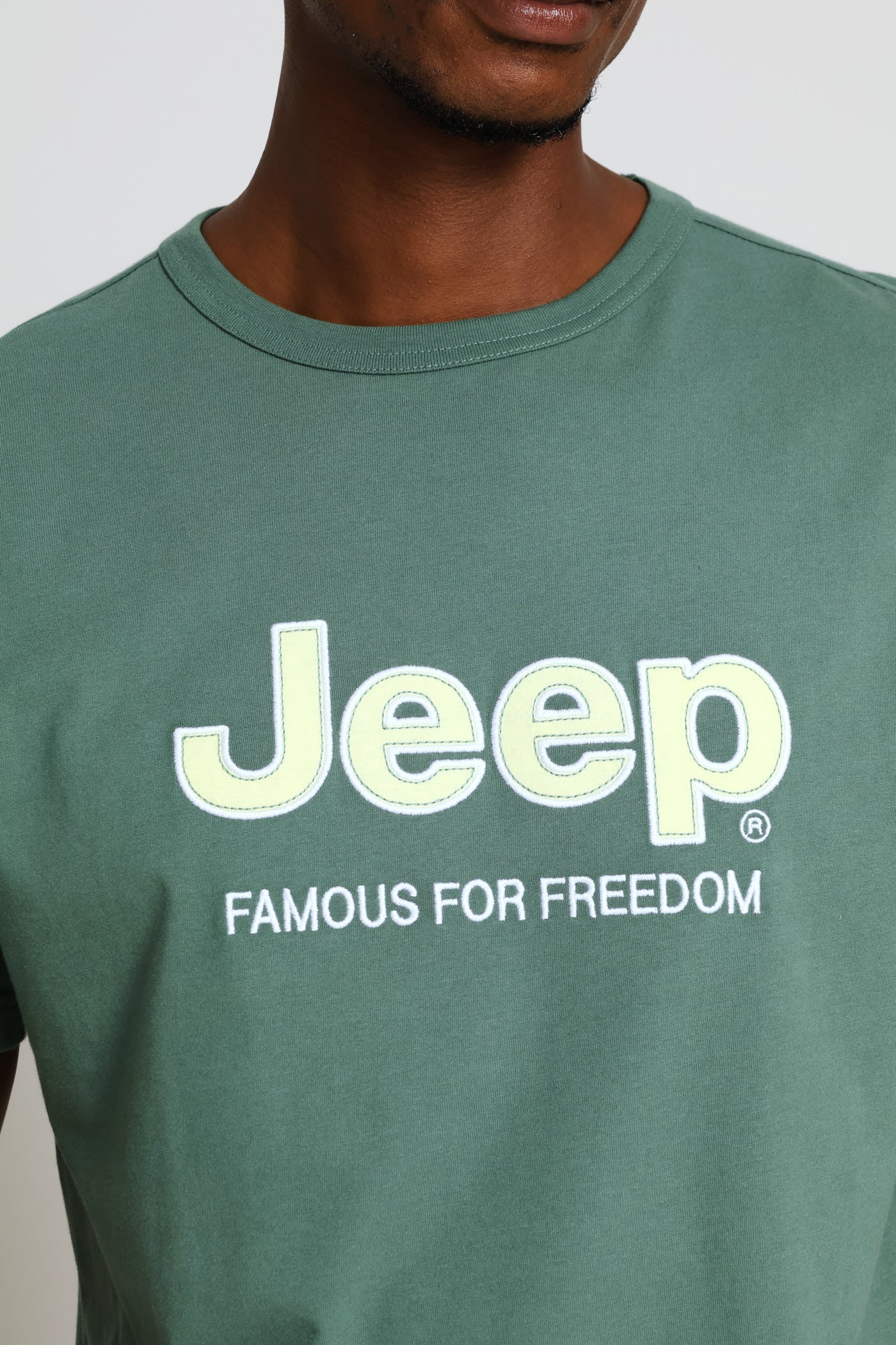 Core Applique Tee - Sage - Image 2