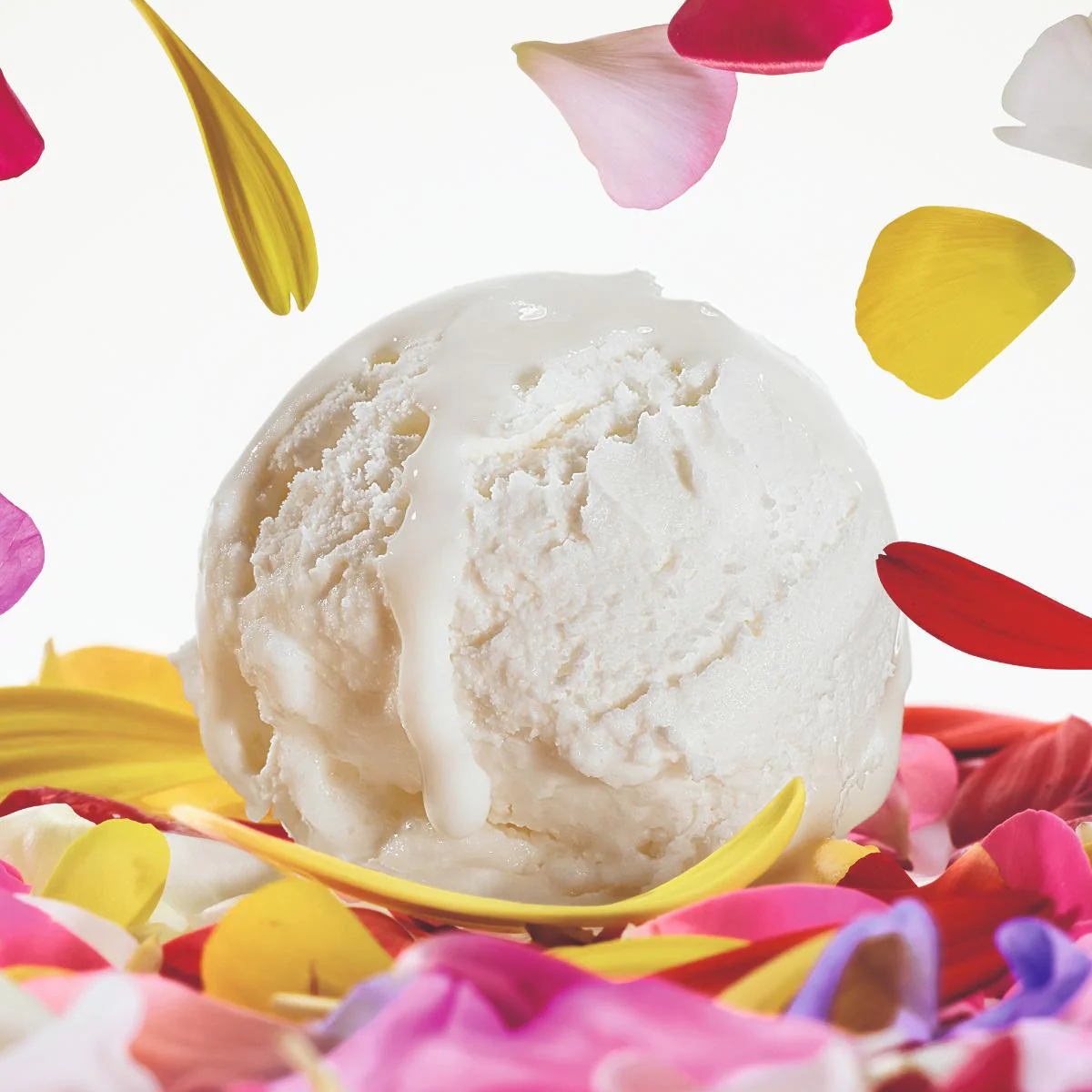 Dolce Magnolia Eau De Parfum - Image 4