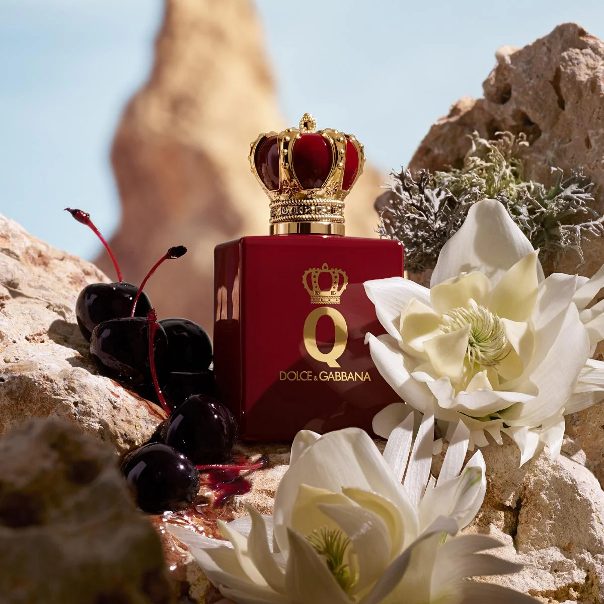 Q by Dolce&Gabbana Elixir - Image 5
