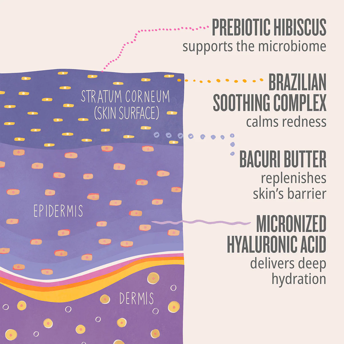 Delicia Drench™ Body Butter - Image 5