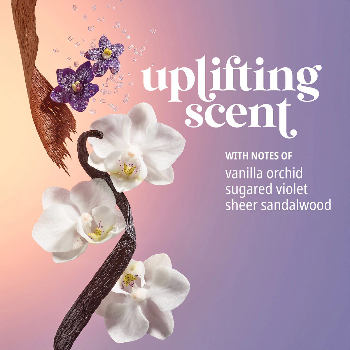 Delicia Drench™ Body Butter - Image 7