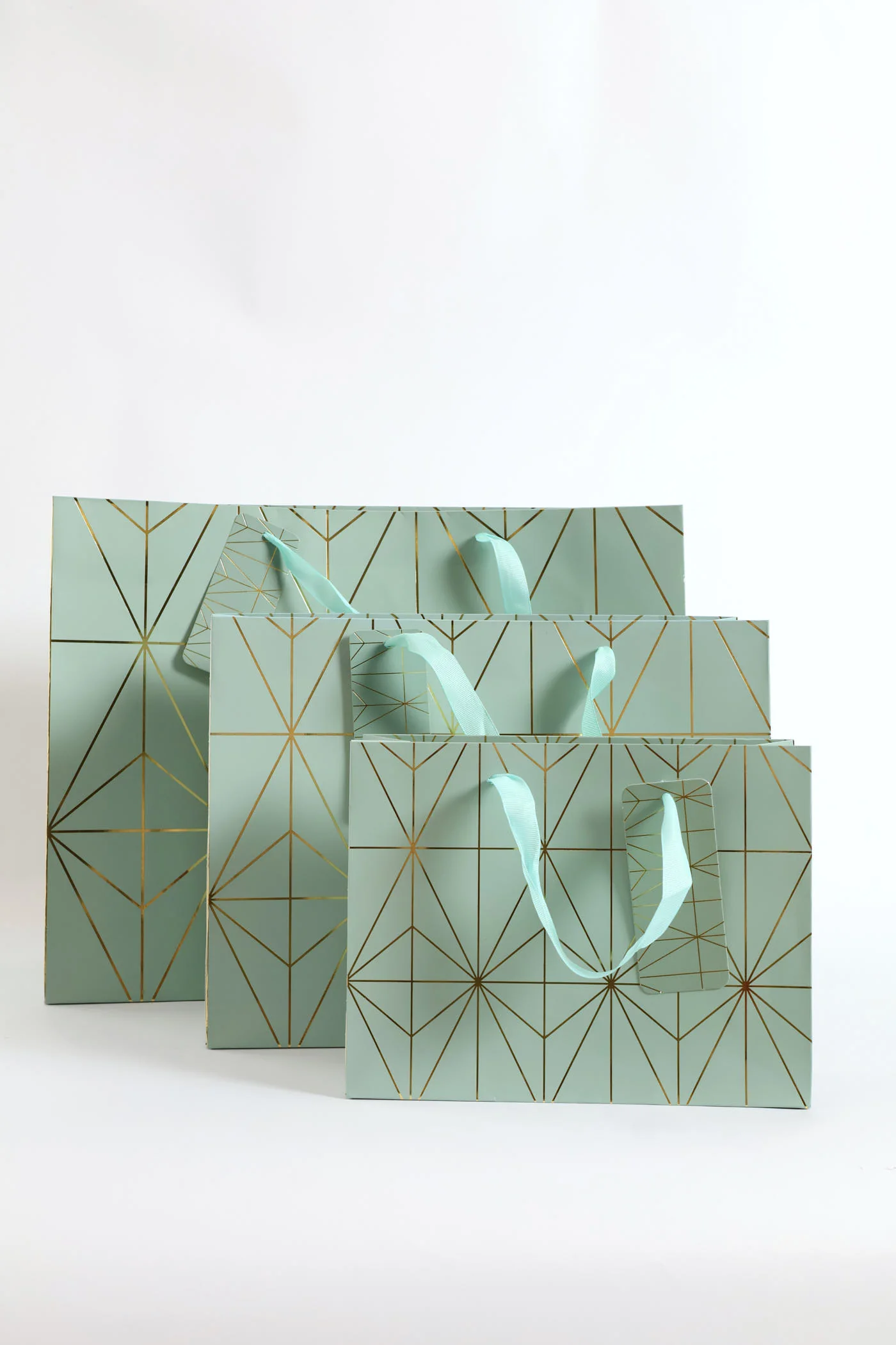 Diamond Foil Print Gift Bag - Sage - Image 2