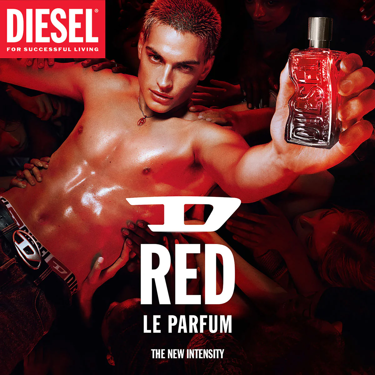 D Red Parfum - Image 7