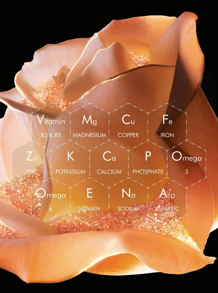 Prestige La Micro-Huile de Rose Activated Serum - Image 6