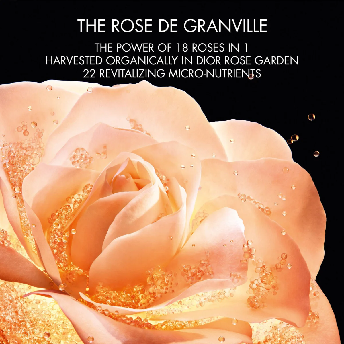 Prestige Le Micro-Sérum de Rose Yeux Activated - Image 7